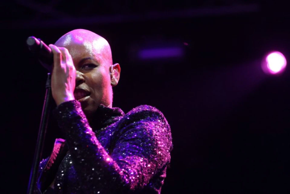 Skunk Anansie