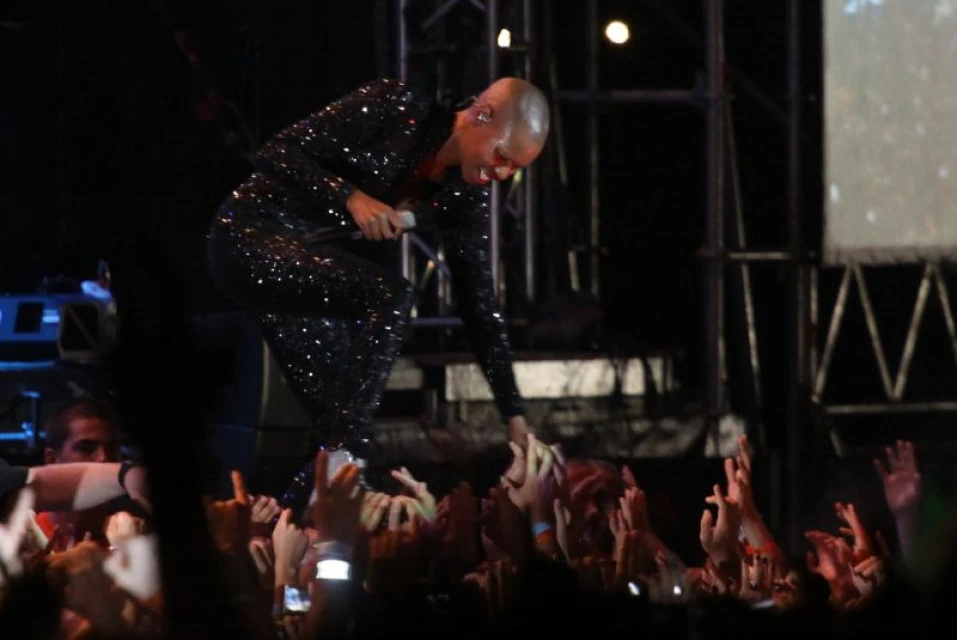 Skunk Anansie