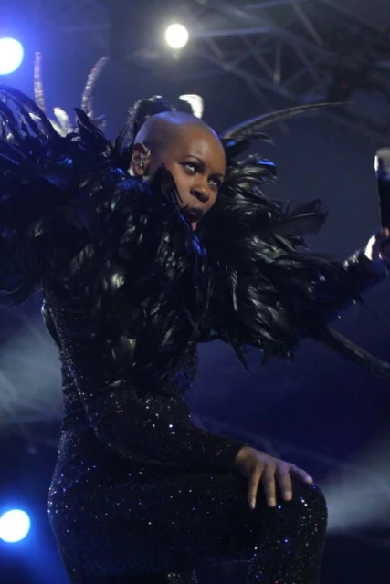 Skunk Anansie
