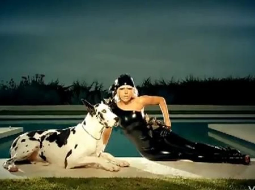 Poker Face (Януари 2009)